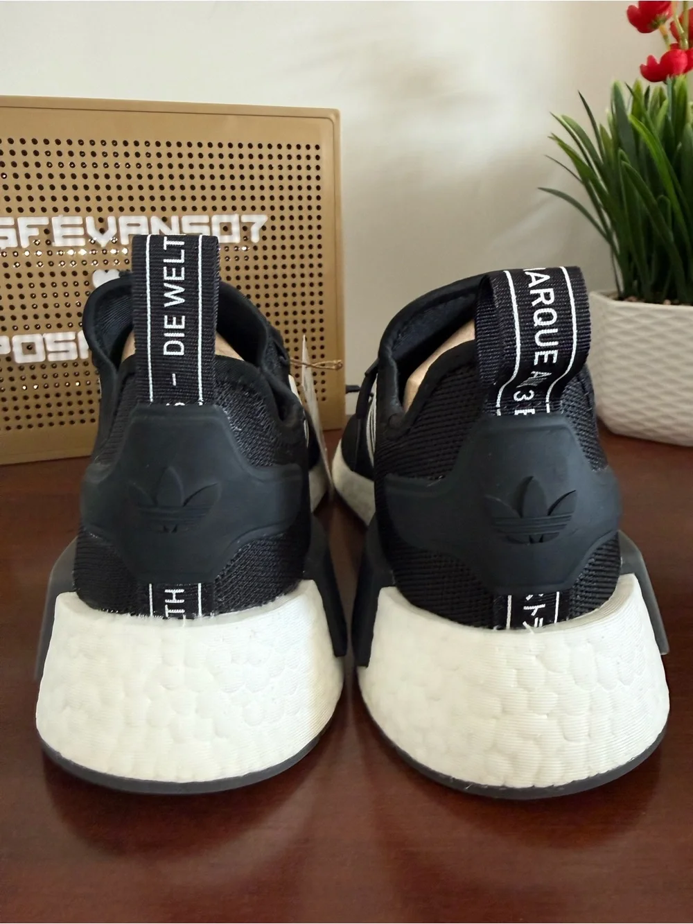 adidas new box